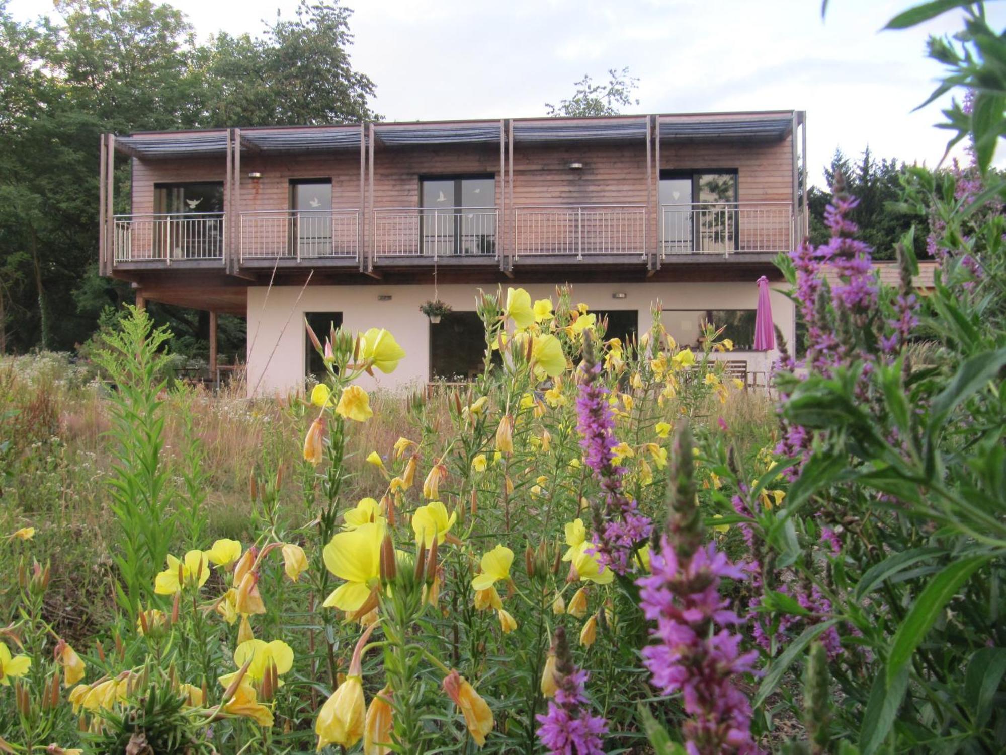 Les Gourmandises Bio Bed & Breakfast Recologne  Exterior photo